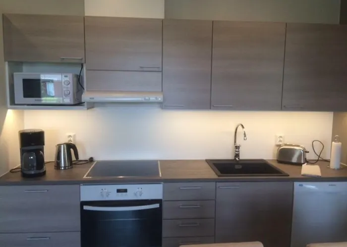 Puistotie 4 Apartament Pyhäjoki