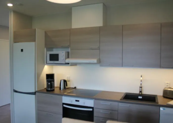 Apartament Puistotie 4